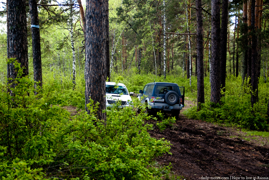 Cars in Siberian forest