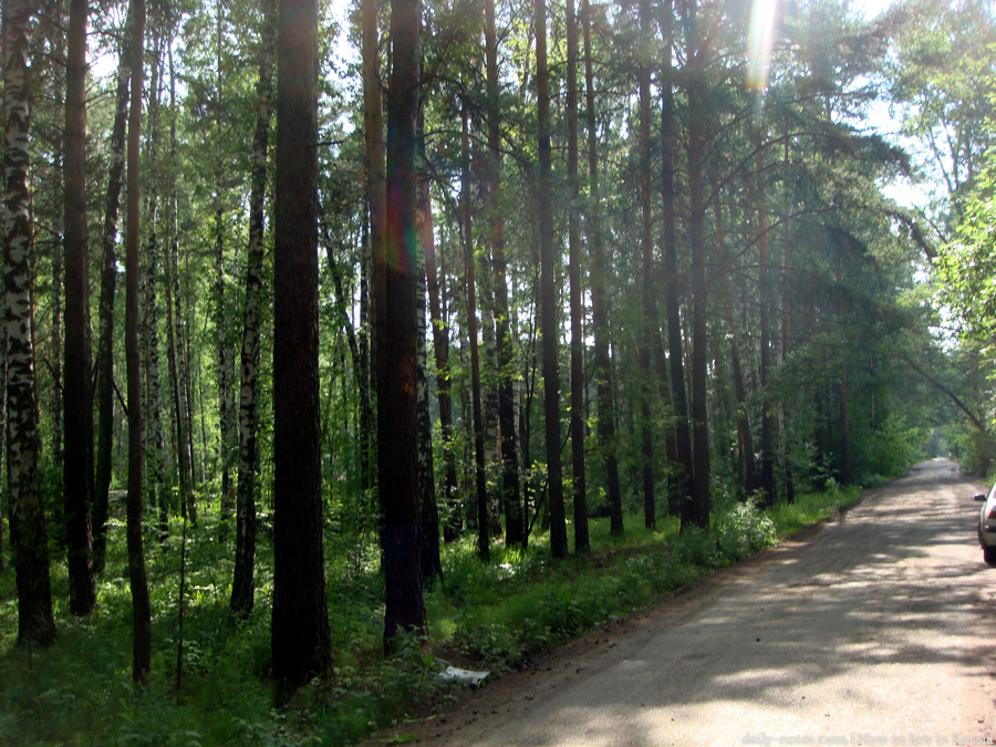 Biking in the forest