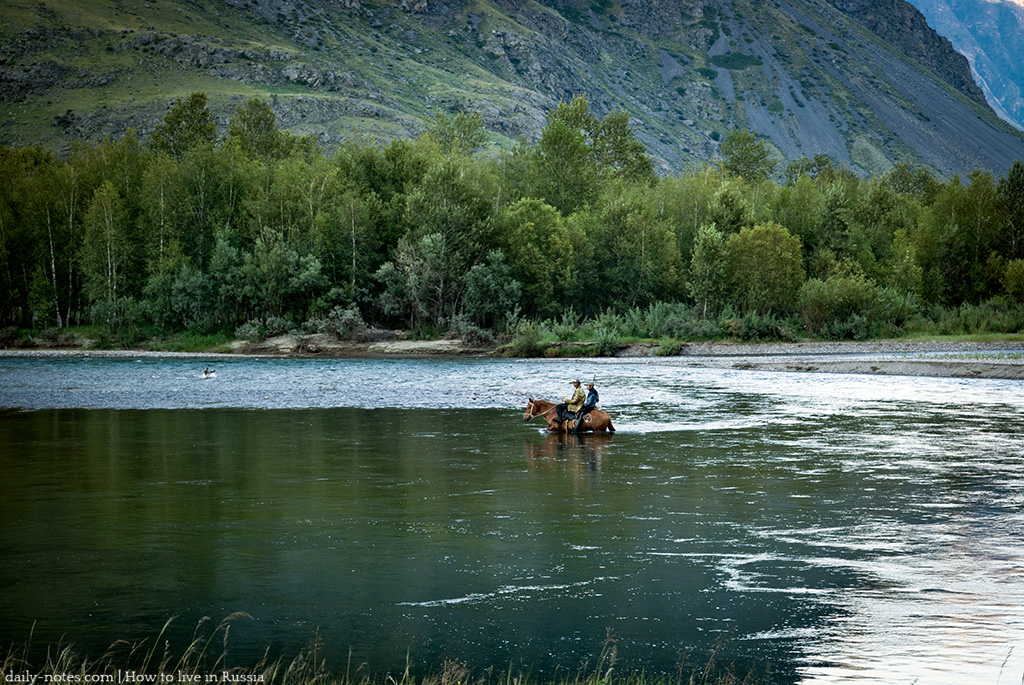 Horse crossing river
