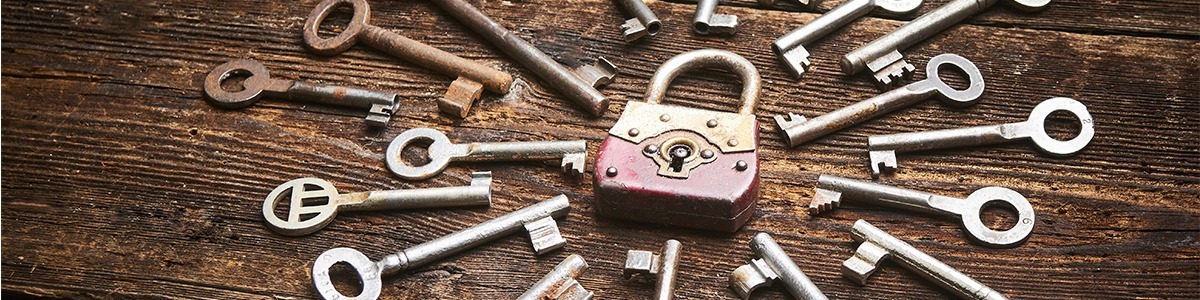 Revenue Stream Diversification for Digital Publishers