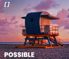 POSSIBLE