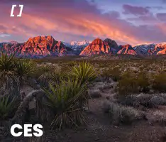 CES